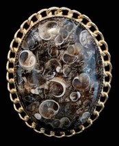 Vintage Turritella Agate Brooch W Bail 1940S - $34.75