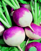 Images  2  thumb200