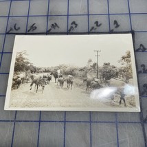 Vintage Postcard 1930s Native Cowboys And Cattle Main Highway Panama - £10.68 GBP