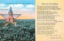 Linen Postcard Texas in Spring Poem Star Multi View Blue Bonnets Unused B863 - £3.62 GBP