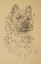 CAIRN TERRIER DOG ART LITHOGRAPH #41 Kline adds your dogs name free. BRE... - £39.11 GBP