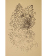 CAIRN TERRIER DOG ART LITHOGRAPH #41 Kline adds your dogs name free. BRE... - £40.02 GBP