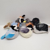 Lot of 5 Audubon Wild Republic Plush Stuffed Birds - Blue Jay, Chickadee, Robin - £43.40 GBP