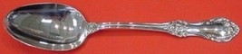 Wild Rose by International Sterling Serving Spoon 8 1/4&quot; Vintage Silverware - £84.99 GBP