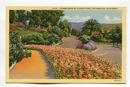 Flower Beds in Eysian Park Los Angeles California - £0.77 GBP