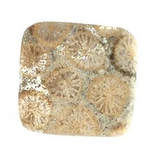 14.01 Carats TCW 100% Natural Beautiful Fossil Coral Cushion Cabochon Quality Ge - £12.48 GBP