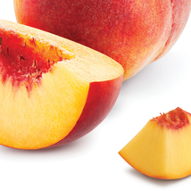 Qtica Smart Sap Peach Bellini Luxury Lotion image 3