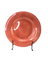 Espana Tabletops Unlimited Hand Painted Grapefruit Orange 11” Dinner Plate - $12.82
