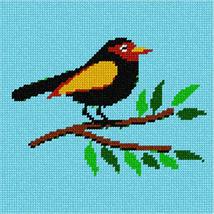 Pepita Needlepoint Canvas: Beginner Bird, 7&quot; x 7&quot; - £39.09 GBP+