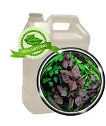 Perilla Seed Oil - 1gallon (128oz) - 100% PURE &amp; Natural, Cold-pressed -... - $244.99