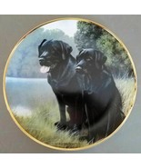 Franklin Mint Sporting Companions Collector Plate Labrador Dog Nigel Hem... - £12.80 GBP