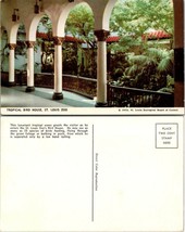 Missouri St. Louis Zoo Tropical Bird House Columns Plants Vintage Postcard 1952 - £7.56 GBP