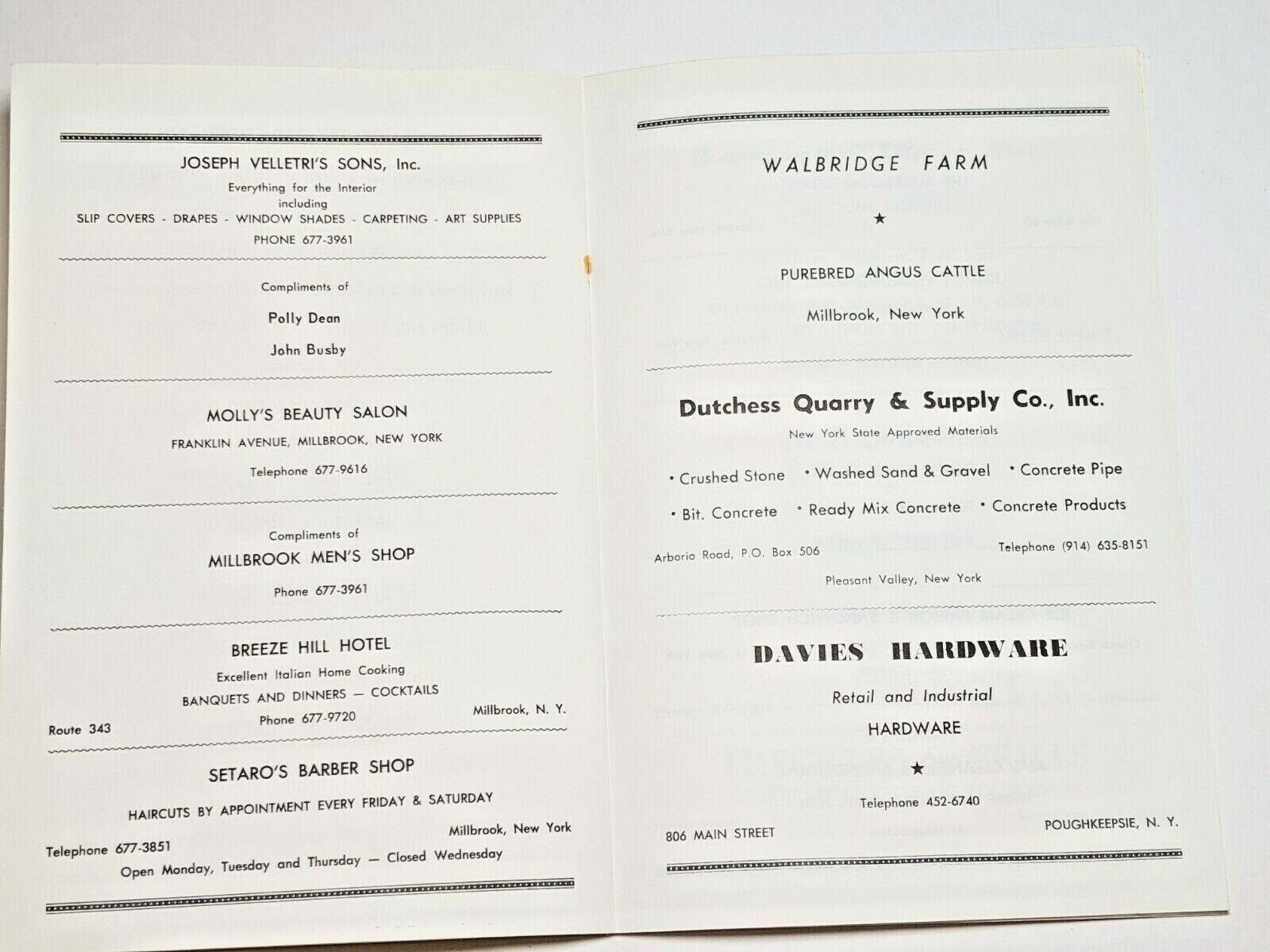 Vintage Millbrook Community Day Celebration Fourth of July 1975 Booklet AB88 New York