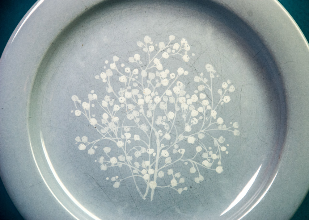 Pfaltzgraff Essence Salad Dessert Plate 8-1/4" White Flowered Branches on Blue Item image 2