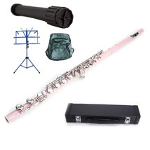 Pink Flute 16 Hole, Key of C w/Case+Music Sheet Bag+2 Stand+Accessories - $139.99