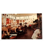 Morse Taxidermy Museum Animal Skins Tusks Warren NH Dexter Postcard c196... - $14.99