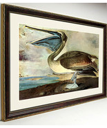 Large Great-footed Hawk Peregrine Falcon Audubon Bird Print Framed 25x20 - £91.92 GBP