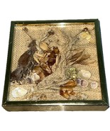 Vintage Cal Bonnivier Gold Metal Framed Shadow Box Wall Art Shells Ocean... - $38.15 CAD