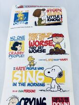 Vintage 2004 Sandy Lion Stickers Roll Peanuts Sayings Phrase Snoopy Scra... - $84.88