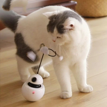 Interactive Cat Tumbler: Endless Fun For Your Feline Friend - £17.64 GBP