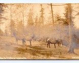 RPPC Elk at Point Defiance Park Tacoma WA UNP Postcard Oakes Photo 47 Q10 - $5.89