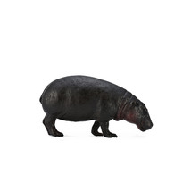 CollectA Pygmy Hippopotamus Figure (Large) - £17.03 GBP