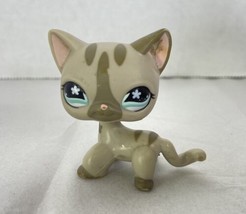 Authentic Littlest Pet Shop Sams Exclusive Gray Shorthair Cat Flower Eye... - £31.01 GBP