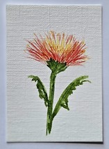 ACEO Original Art Red and Yellow Flower Acrylic Painting on Watercolor P... - $7.02 CAD