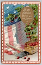 George Washington Birthday Patriotic All Thou Hast Been Reflects Postcar... - $7.95