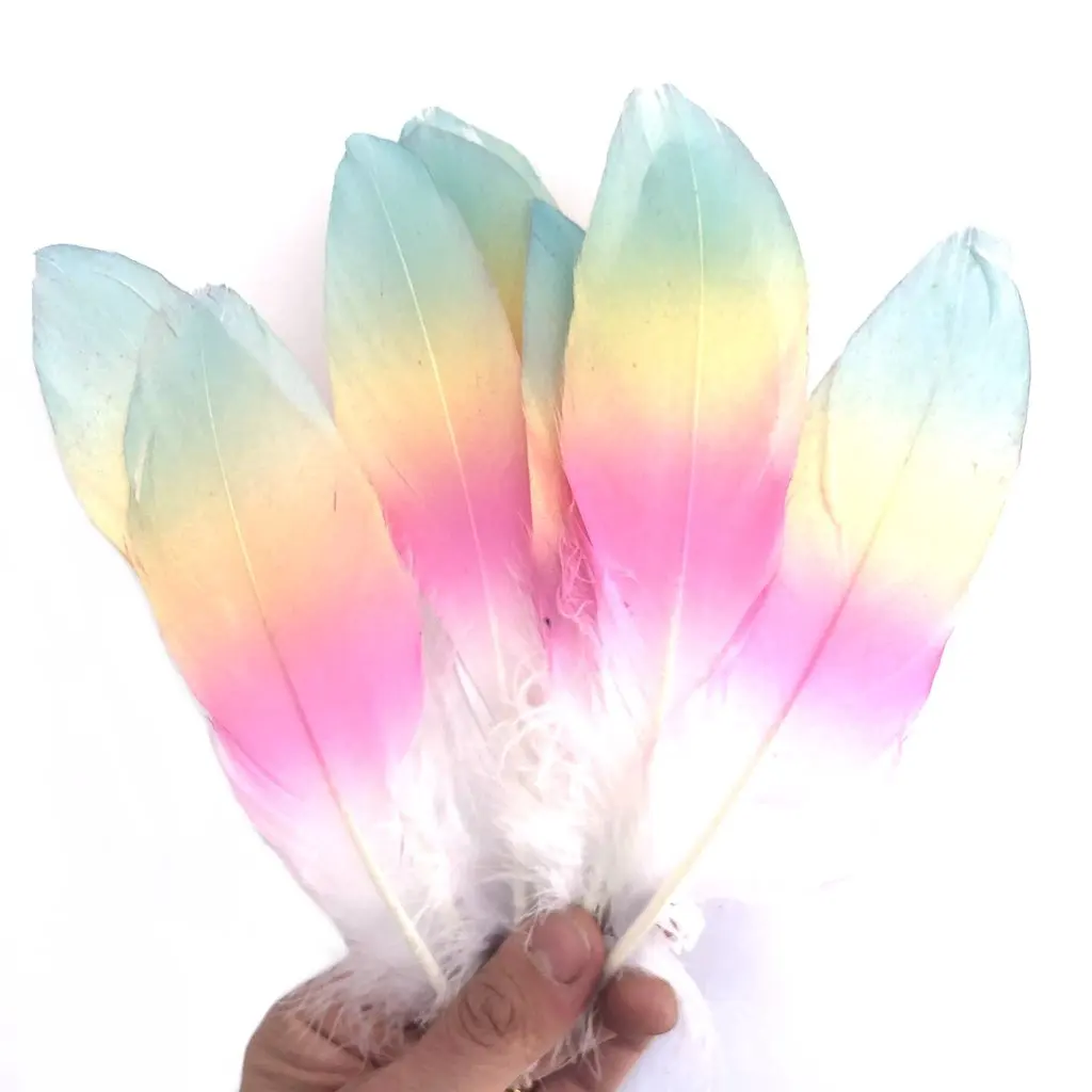 House Home 10pcs Dyeing Goose Feathers Gradient Feather 13-18cm for DIY Dreamcat - £19.98 GBP