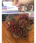 Large Cinnamon Scented Pinecones Party Living Room Decor Ships N 24h - $14.29