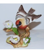 BURGUES USA PORCELAIN LIMITED EDITION BAY-BREASTED WARBLER FIGURINE #70 ... - €64,48 EUR