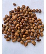 Nigerian Large Brownish African yam beans(sphenostylis stenocarpa), 50 s... - $36.00