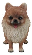 Lifelike Adorable Pet Pal Sitting Pomeranian Spitz Puppy Dog Figurine 6"H - $27.99