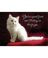 You&#39;re A Special Friend - Friendship Greeting Card - 00781 - $51.41 MXN