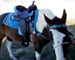 Western Cordura Trail Barrel Pleasure Horse SADDLE Blue 4917 - $299.99