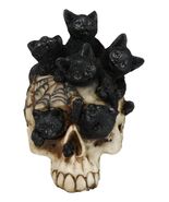 Witchcraft Black Kitten Cats Perching On Arachnid Spider Web Skull Figurine - €20,60 EUR