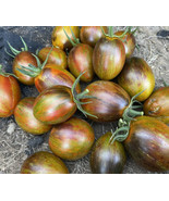 Tomato Brad&#39;S Atomic Grape Fresh Organic Heirloom - $13.66 CAD
