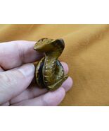 (Y-SNAK-CO-561) brown SNAKE COBRA carving FIGURINE GEMSTONE reptiles gem... - $15.79