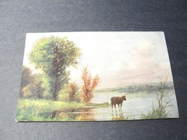 Portland River, Oregon -1900s Postcard. - £7.12 GBP