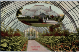 Lincoln Park Conservatory Chicago Illinois Postcard - £5.48 GBP