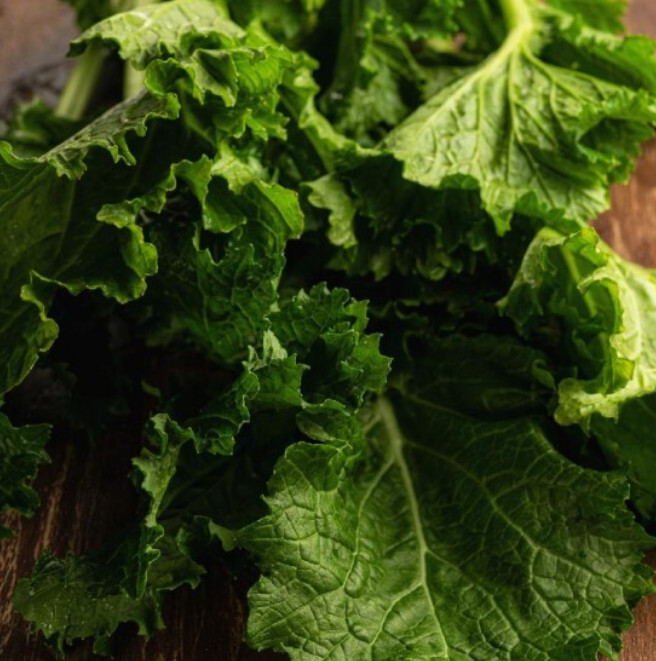 Seven Top Turnip Best Tasting Greens Sprouting Heirloom Cool Non-Gmo 250... - $7.96