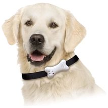 Buster&#39;s Bone Voice Recording Pet I.D. Dog&#39;s, Owner&#39;s Name and Contact I... - £4.69 GBP