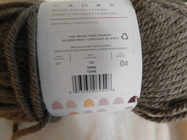 Lion Brand Two of Wands Hue + Me Terra Dye Lot 04 - £6.33 GBP