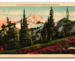 Panorma of Mt Baker Washington WA UNP Linen Postcard N21 - $2.92