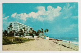 Cove Beach Club Deerfield Palm Trees Florida FL Curt Teich UNP Postcard 1957 - £3.75 GBP