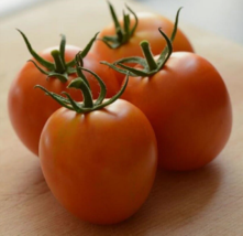 25 Pc Seeds Tomato Marriage Vegetable Plant, Tomato Seeds for Planting | RK - £20.03 GBP