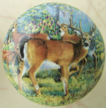 Cabinet Knobs Buck Whitetail Deer Wildlife #3 - $5.30