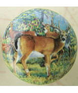 Cabinet Knobs Buck Whitetail Deer Wildlife #3 - $100.73 MXN