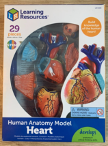 Learning Resources Human Anatomy:Model LER 3334 The Heart 29 Piece Model - £17.93 GBP